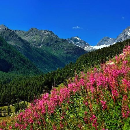 Appartamenti Edelweiss Chaudana Exteriér fotografie