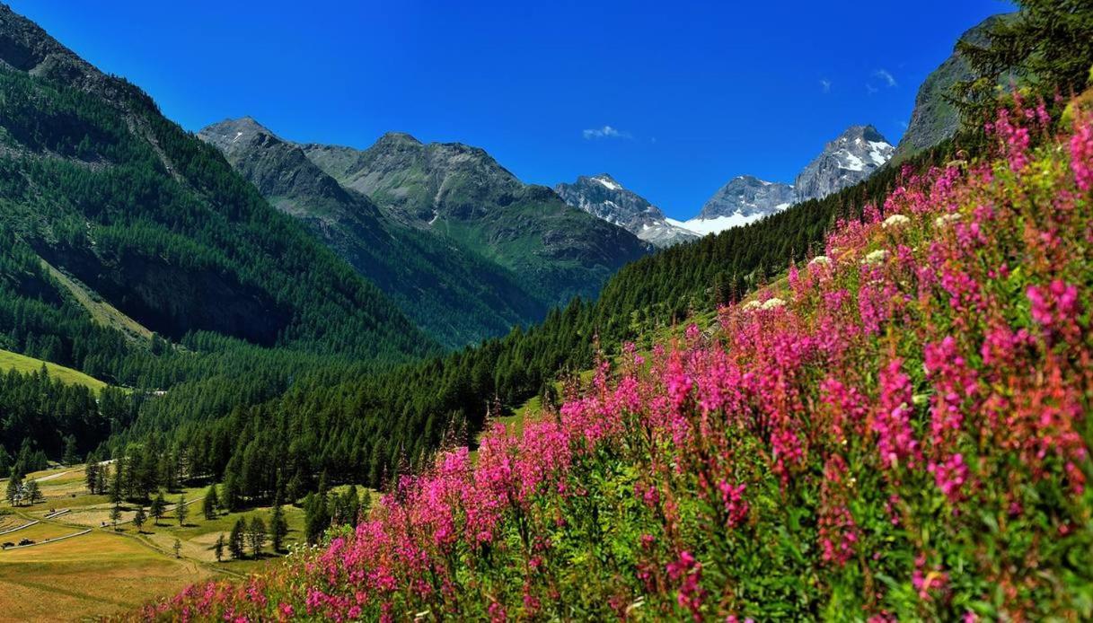 Appartamenti Edelweiss Chaudana Exteriér fotografie